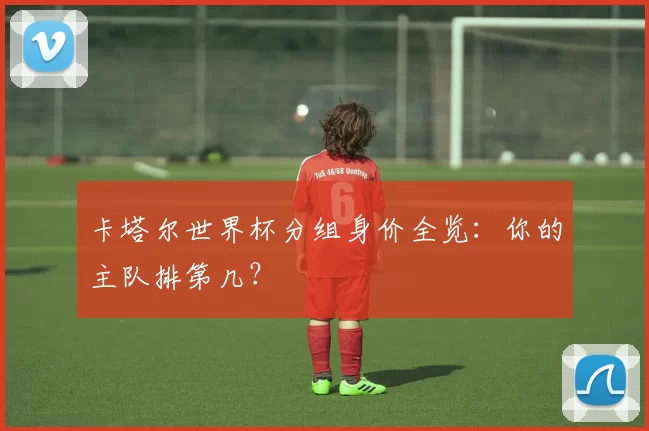 卡塔尔世界杯分组身价全览:你的主队排第几?