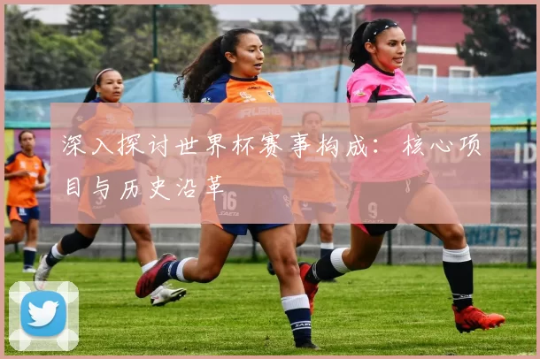 深入探讨世界杯赛事构成:核心项目与历史沿革