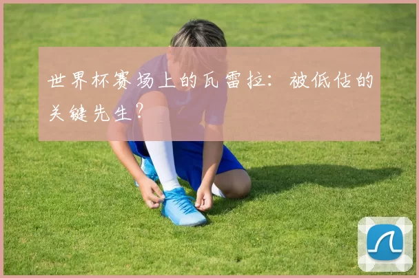 世界杯赛场上的瓦雷拉:被低估的关键先生?