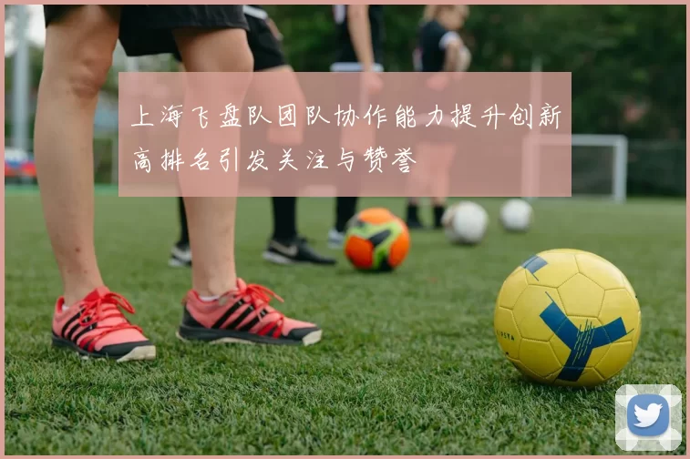 上海飞盘队团队协作能力提升创新高排名引发关注与赞誉