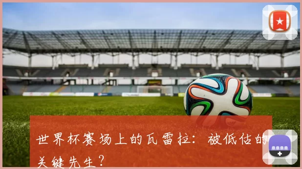 世界杯赛场上的瓦雷拉：被低估的关键先生？