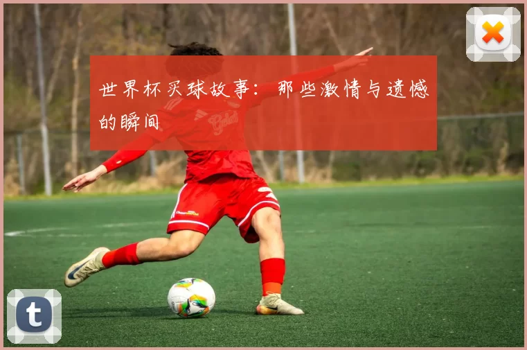 世界杯买球故事:那些激情与遗憾的瞬间