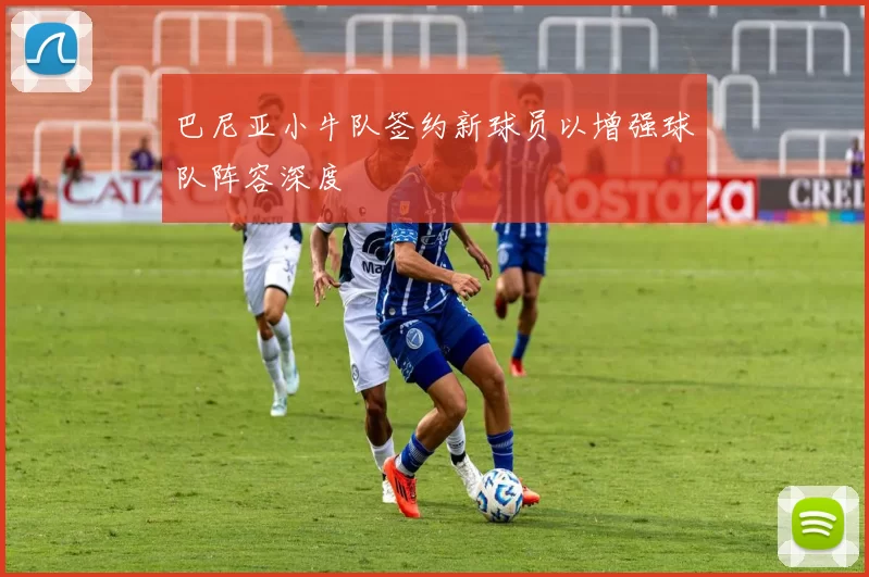 巴尼亚小牛队签约新球员以增强球队阵容深度