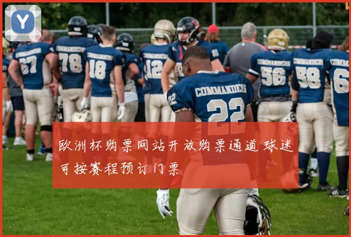 欧洲杯购票网站开放购票通道 球迷可按赛程预订门票