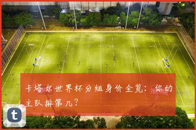 卡塔尔世界杯分组身价全览:你的主队排第几?