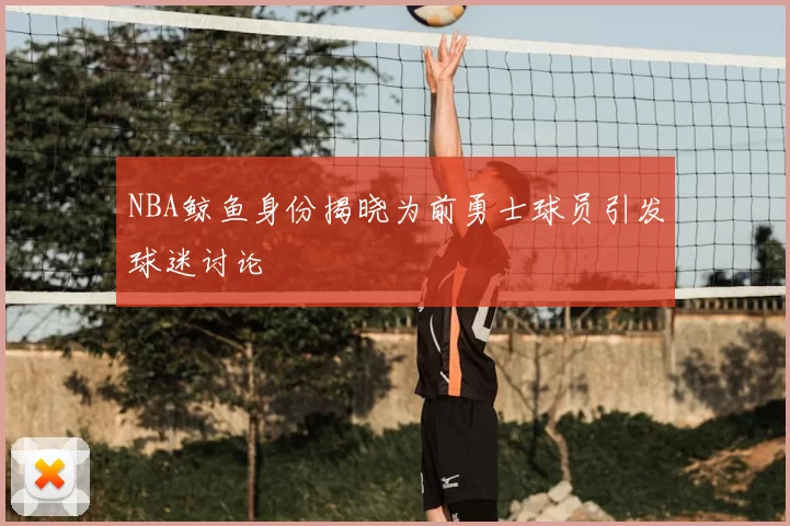 NBA鲸鱼身份揭晓为前勇士球员引发球迷讨论