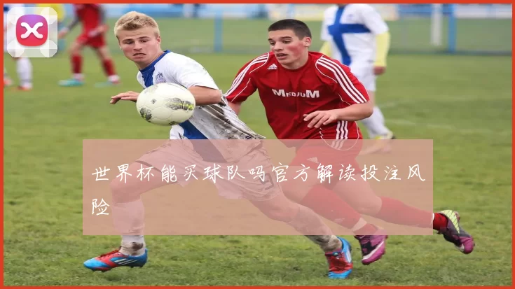 世界杯能买球队吗官方解读投注风险