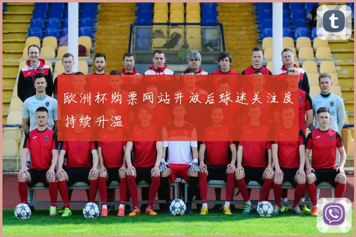 欧洲杯购票网站开放后球迷关注度持续升温