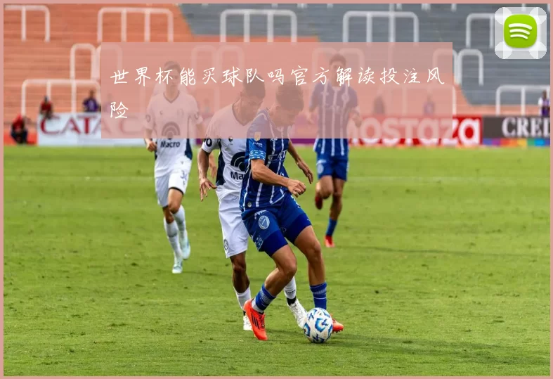 世界杯能买球队吗官方解读投注风险