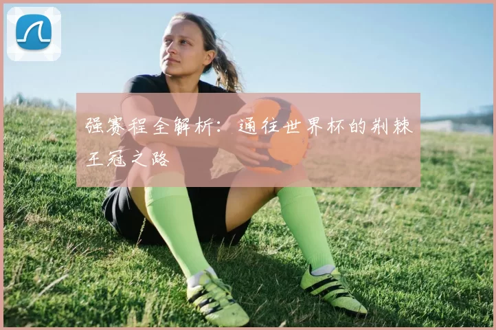 强赛程全解析：通往世界杯的荆棘王冠之路