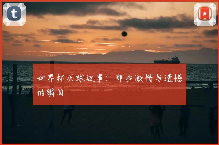 世界杯买球故事：那些激情与遗憾的瞬间