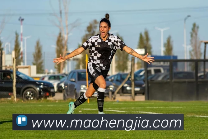 开云平台生态图